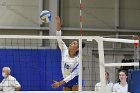 VB vs Gordon  Wheaton Women's Volleyball vs Gordon College. - Photo by Keith Nordstrom : Wheaton, Volleyball